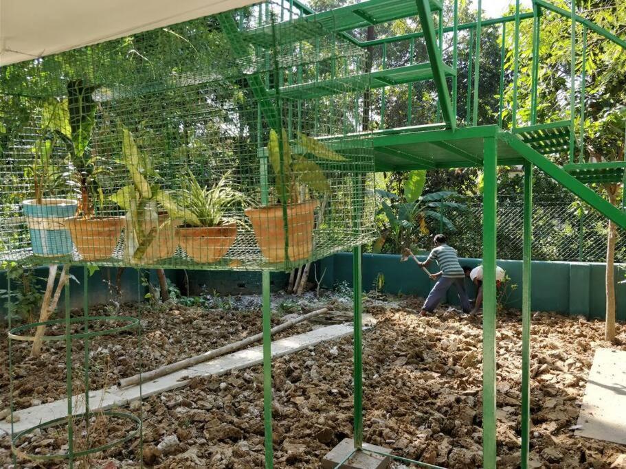 Bhitey Homestay Simantapally / Shantiniketan Esterno foto